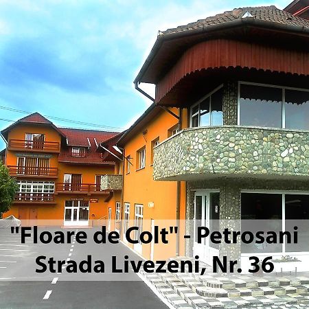 Отель Floare De Colt Петрошани Экстерьер фото